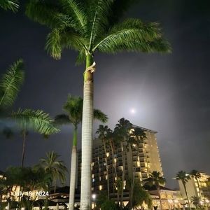 Meet your Posher, Darlene